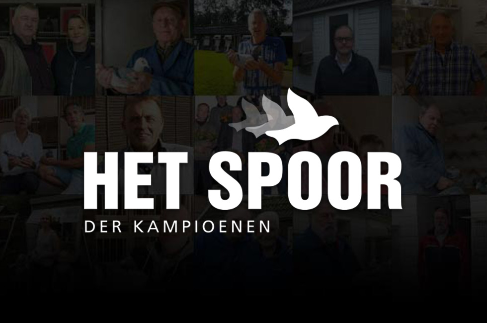 Enquete 2021 over het Spoor der Kampioenen. Invullen tot 01/02/2022